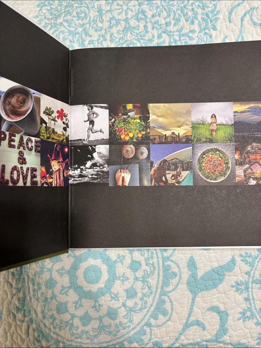The Plantpower Way Hardcover Book